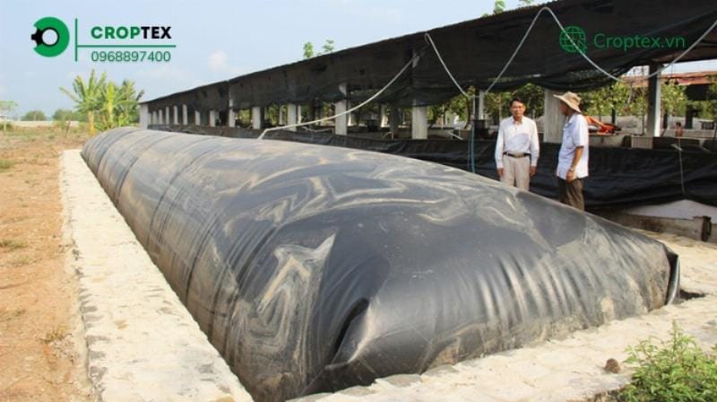 Cấu tạo cơ bản của một hầm khí biogas bao gồm bể chứa, hệ thống thu khí và bể lắng bã